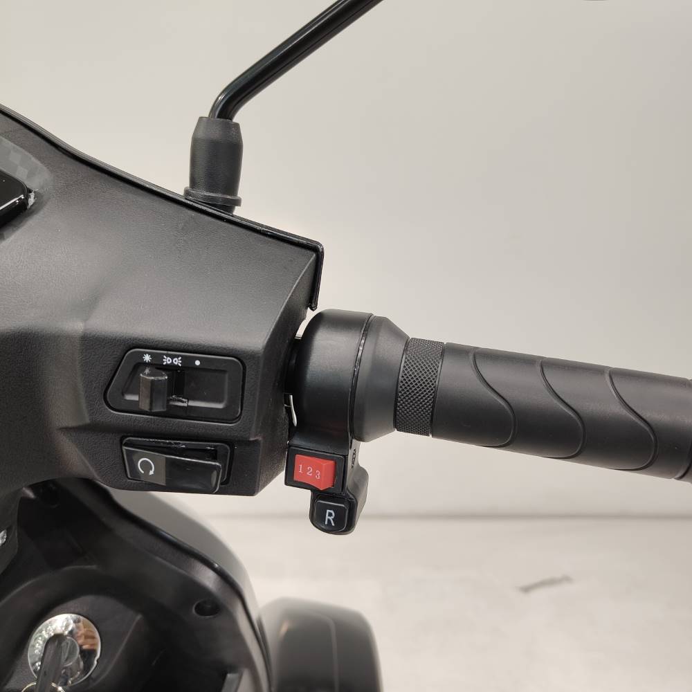 Elion E-Quad L4 Li-Io 25kmh/1000W/40Ah/80km RT Seniorenmobil