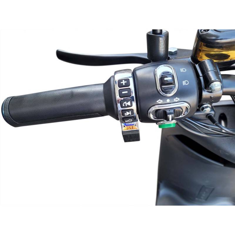 Futura City Go Rs Li-Io 25kmh | 45kmh/1200W/30Ah E-Roller