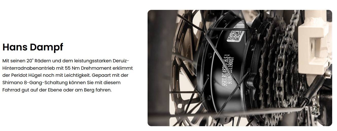 DERUIZ Peridot 2025 E-Bike GR 20" 36cm/500Wh/120kg 120km Klapprad