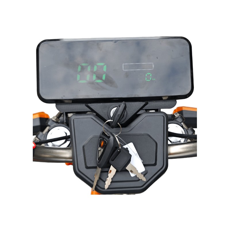 Futura Cargo Cruiser Dach LI Li-Io 45kmh/1500W/60Ah GR E-Roller