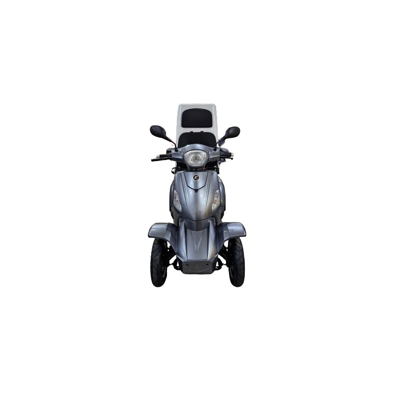 Futura Vita Care 4000 Li Cargo 25kmh/1000W/20Ah Seniorenmobil