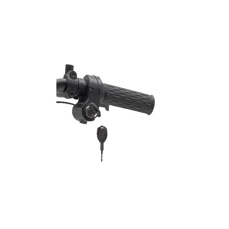 Futura E-Groove Li-Io 25kmh/350W/36V/10Ah/103kg/20km SW E-Roller