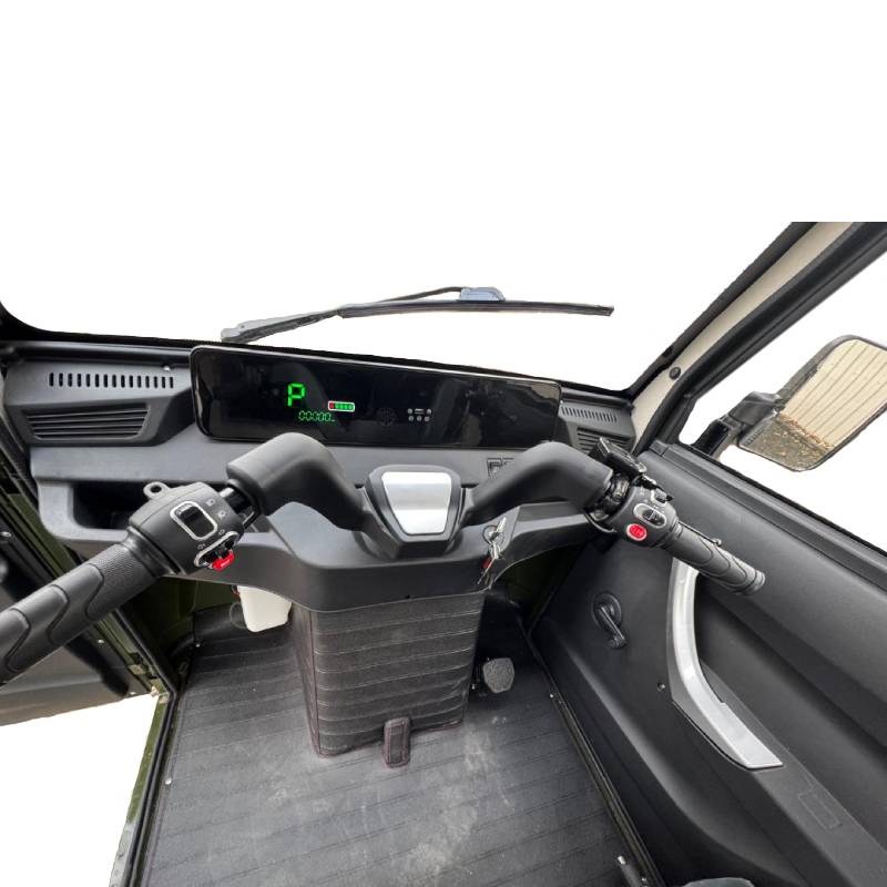 Nelio Cargo Blei 25kmh/2000W/80Ah/460kg/70km GN E-Kabinenroller