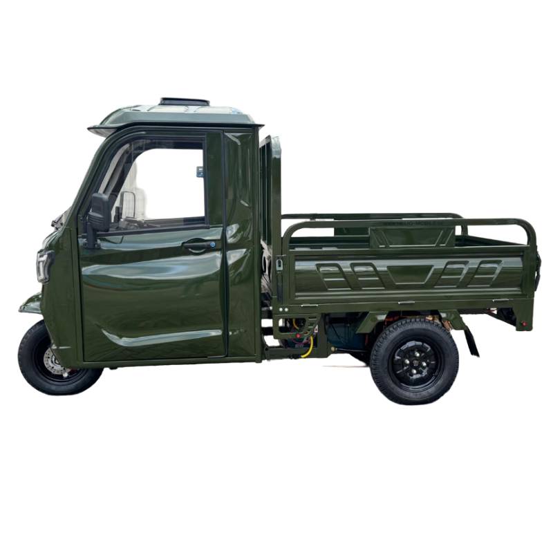 Nelio Cargo Blei 25kmh/2000W/80Ah/460kg/70km GN E-Kabinenroller