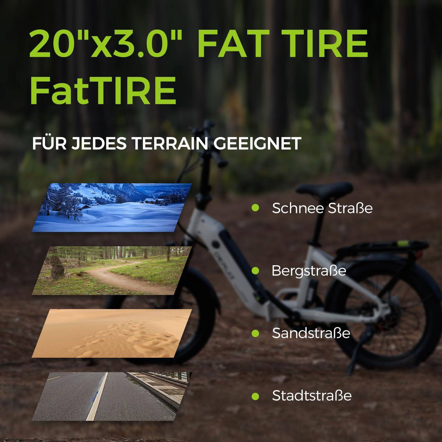DERUIZ Peridot 2025 E-Bike WS 20" 36cm/500Wh/120kg 120km Klapprad