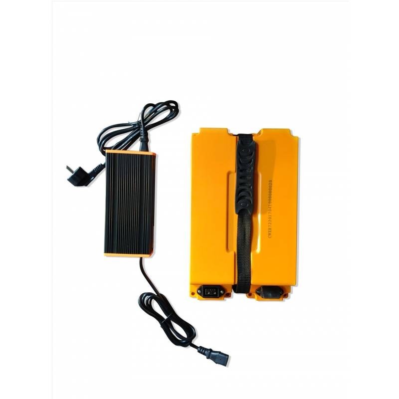 Futura Vita Care 4000 Li Cargo 25kmh/1000W/20Ah Seniorenmobil