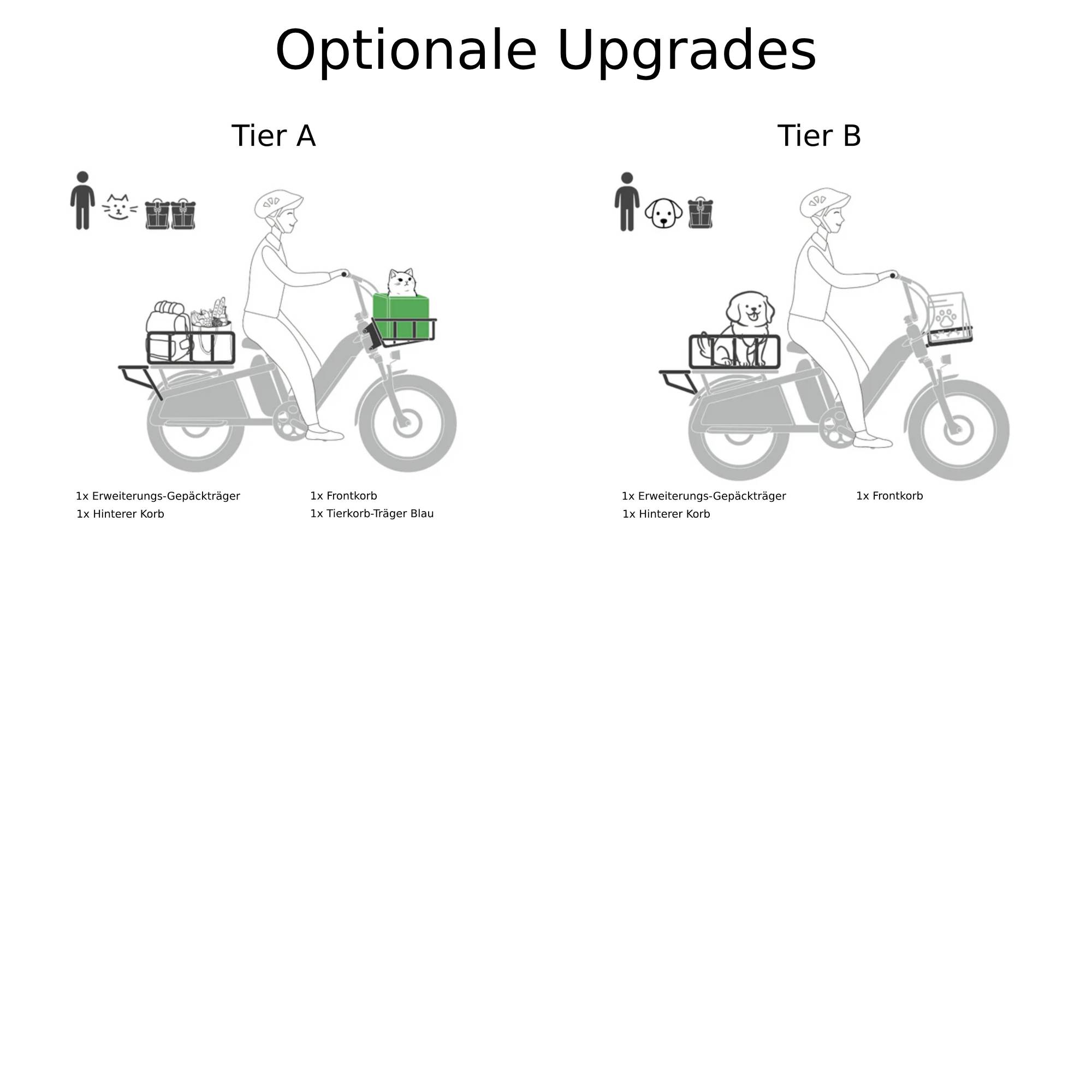 Cyrusher Glider E-Lastenfahrrad SW 20" 52V/811,2Wh/200kg 100km