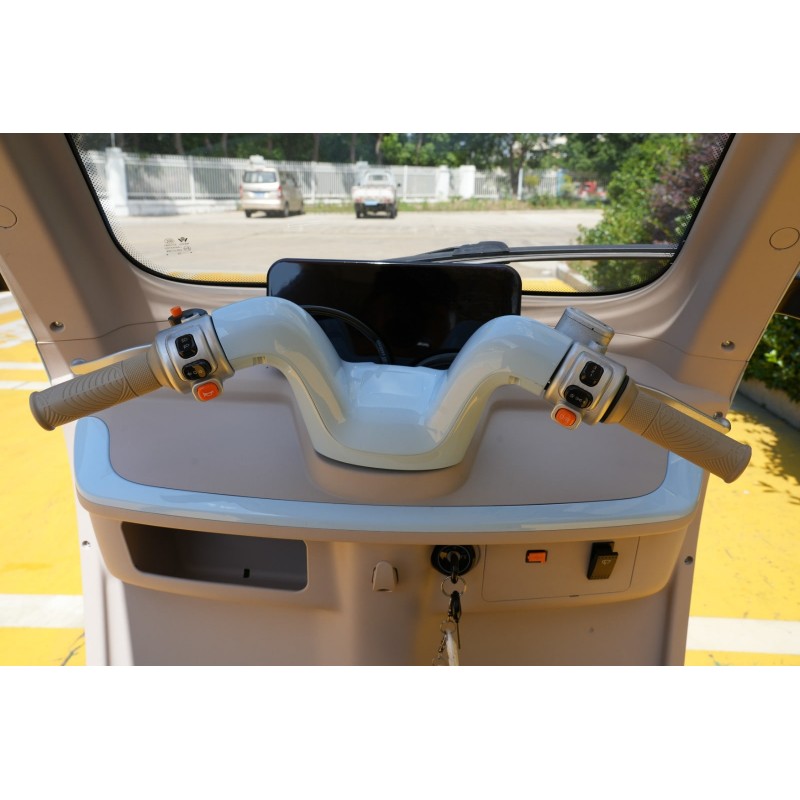 Futura E-Move Blei 45kmh/2000W/45Ah/244kg/70km WS E-Kabinenroller