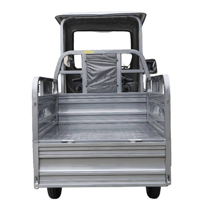 Futura Cargo Cruiser Dach LI 25|45kmh/1500W/60Ah E-Kabinenroller