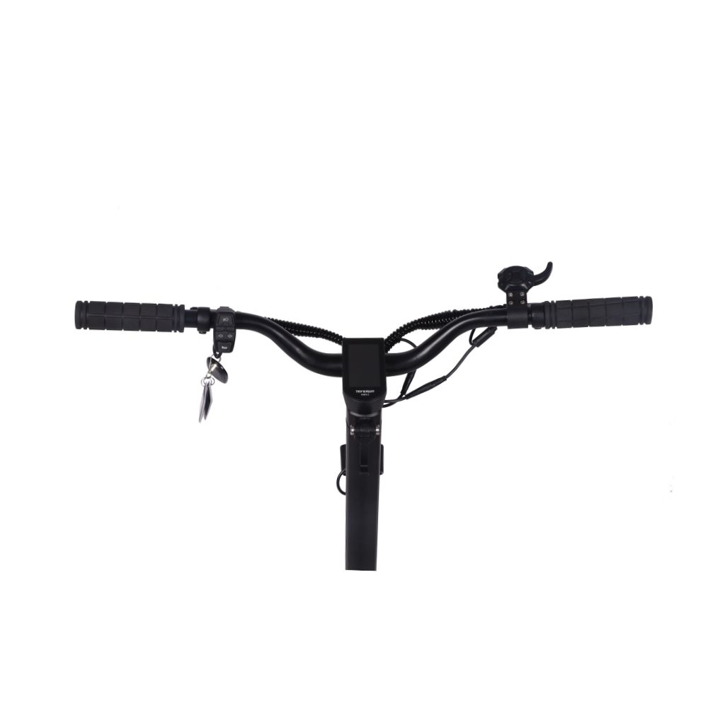 Teverun Fighter Q SW 50kmh 40km 2x500W 2580W 100kg E-Scooter