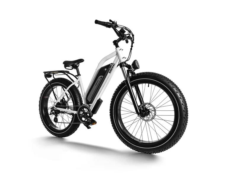 Himiway D3 Cruiser 15 E-Bike WS 26" 720Wh/160kg 80km Allrounder