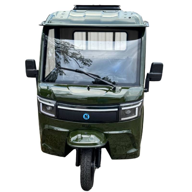 Nelio Cargo Blei 25kmh/2000W/80Ah/460kg/70km GN E-Kabinenroller